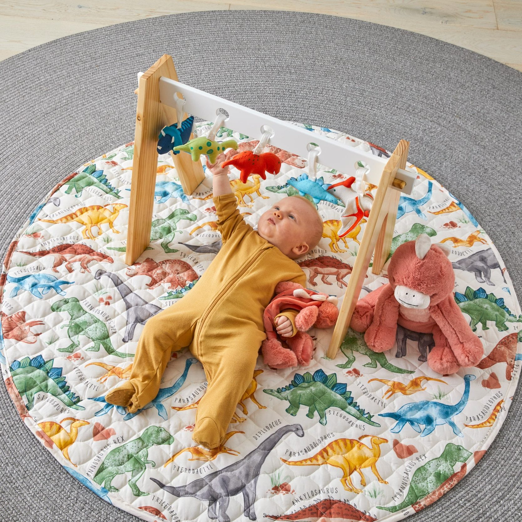 Floor Rugs