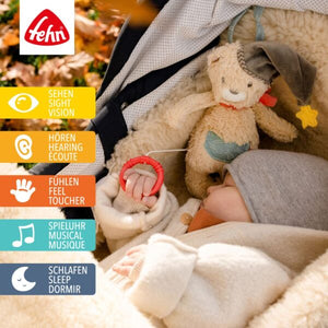 Fehn Musical Bear Bruno Children's Newborn Teddy Bear.