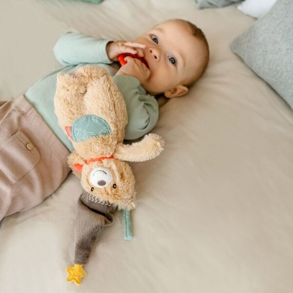 Fehn Musical Bear Bruno Children's Newborn Teddy Bear.