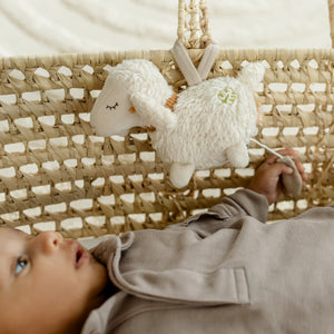 FehnNATURE Mini Musical Sheep Children's Newborn Toy