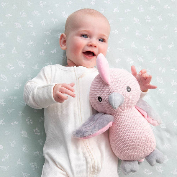 Knitted Toy - Gary the Galah