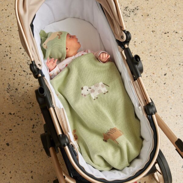 Jiggle & Giggle Barnyard Buddies Knitted Baby Blanket - Green