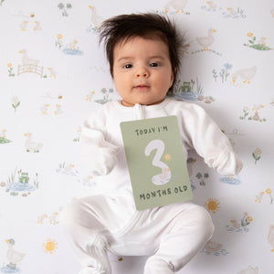 Milestone Baby Cards - Goosey Goosey