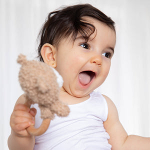 Teething Ring & Dummy Chain Gift Set - Cuddly Bear