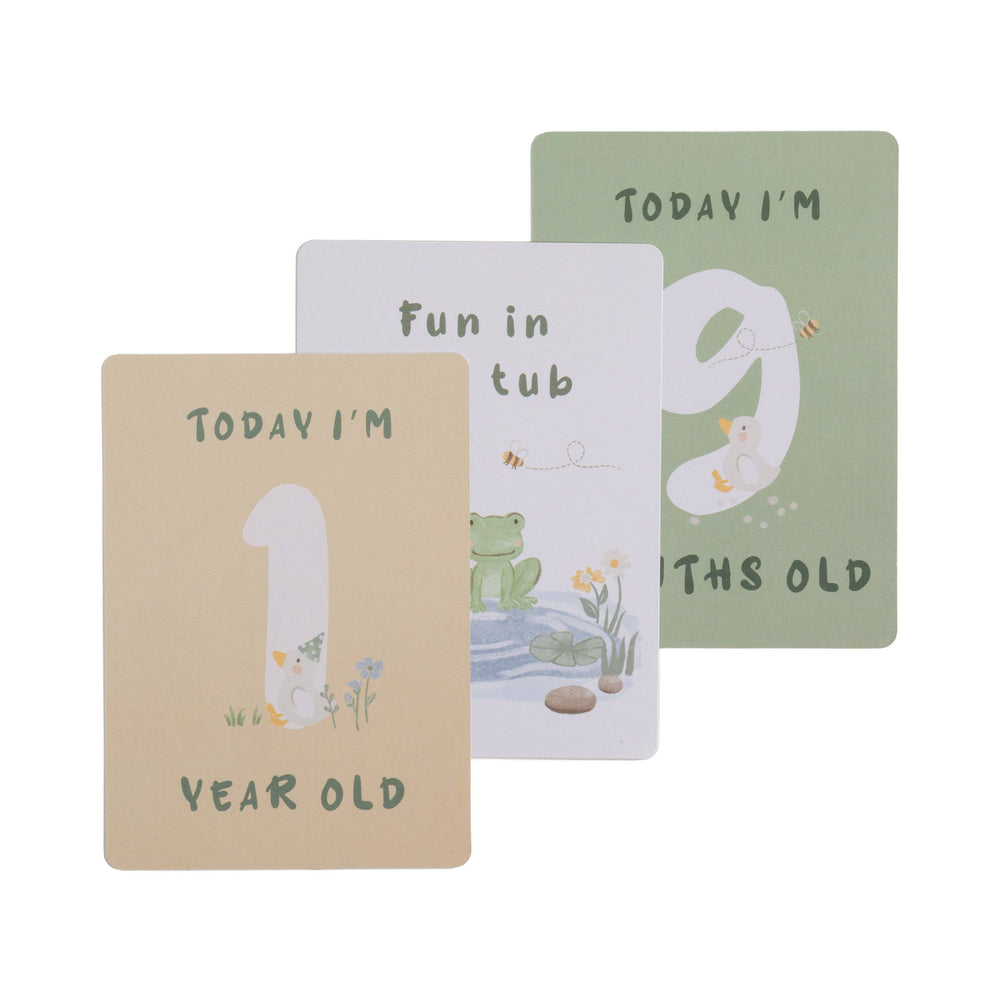 Milestone Baby Cards - Goosey Goosey