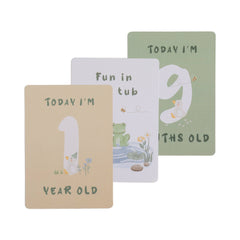 Milestone Baby Arrival Cards - Living Textiles Goosey Goosey