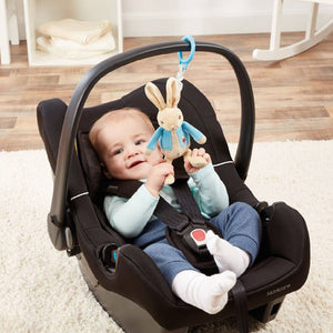 Peter Rabbit Beatrix Potter Jiggle Attachable
