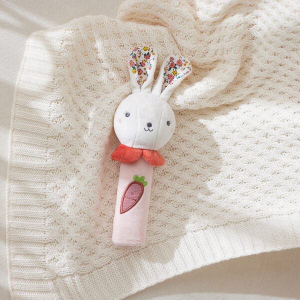 Jiggle & Giggle Hugglies Bunny Squeaker Newborn Toy