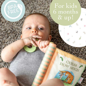 Classic Guess How Much I Love You Soft Baby Book With Sound