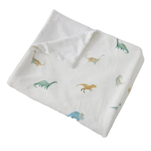 Dallying Dinosaurs Kids Soft Fleece Throw Rug Blanket