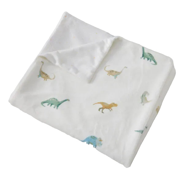 Dallying Dinosaurs Kids Soft Fleece Throw Rug Blanket