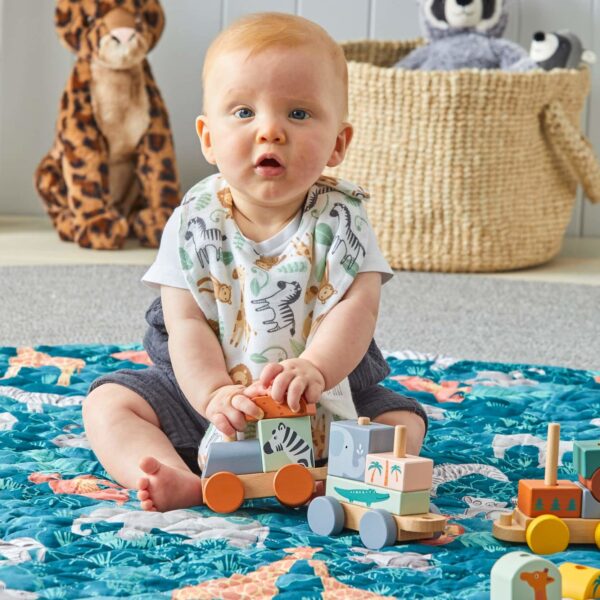 Children's Wooden Animal Train Set