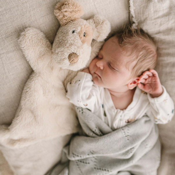 Buddy The Dog Hooch Coochie Baby Puppet Comforter