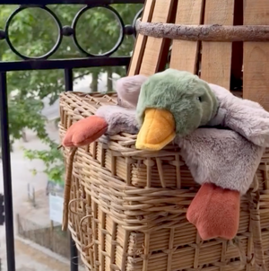 Hugo the Mallard Duck Hoochy Coochie Baby Puppet Comforter