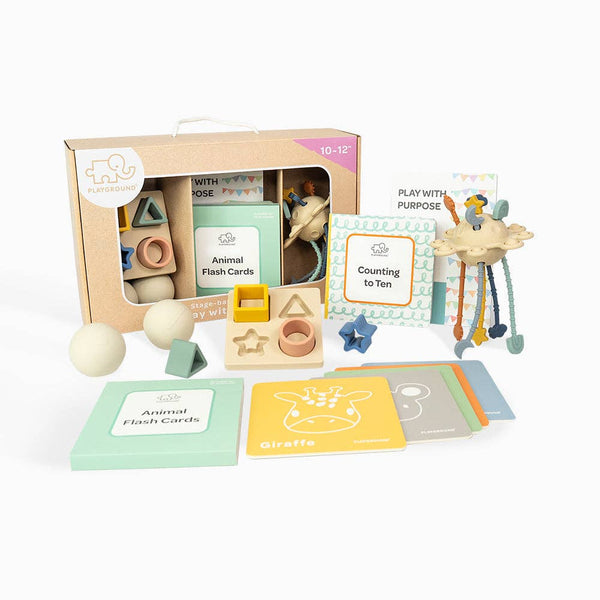 Playground Box 4: Play with Purpose (10-12M) Baby Gift Hamper