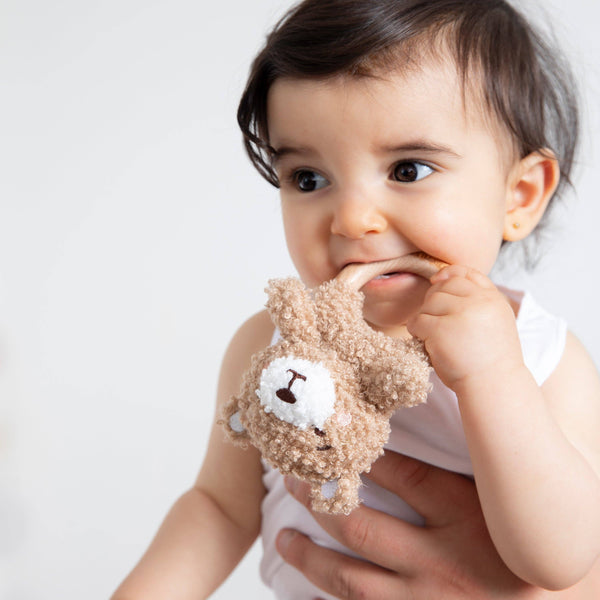 Teething Ring & Dummy Chain Gift Set - Cuddly Bear