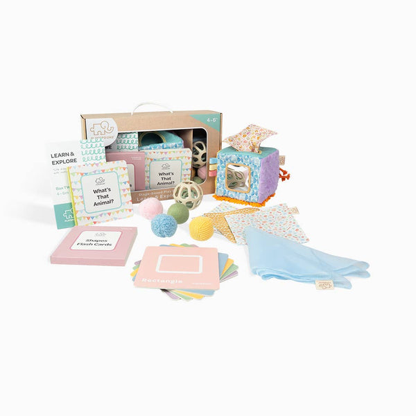 Playground Box 2: Learn & Explore (4-6M) Baby Hamper