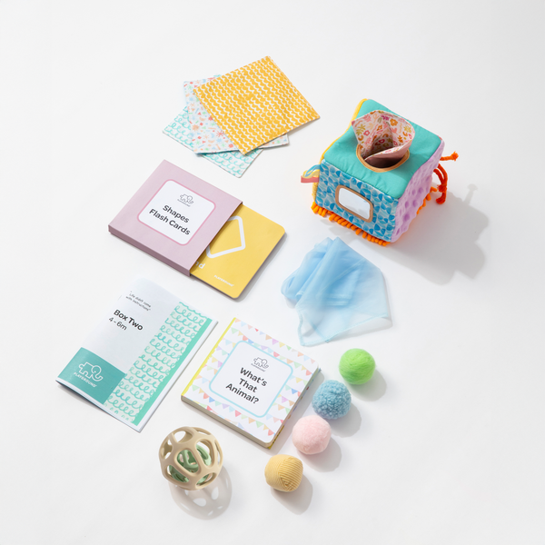 Playground Box 2: Learn & Explore (4-6M) Baby Hamper