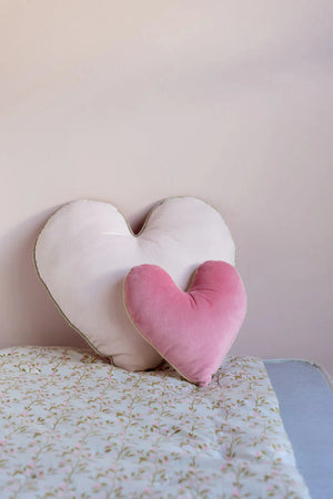 Follow Your Heart Velvet Reversible Bedroom Decorator Cushion