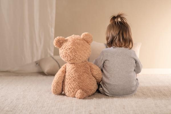 Steiff Jimmy Extra Large 55cm Children's Plush Teddy Bear