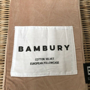 Champagne Velvet European Pillow Case